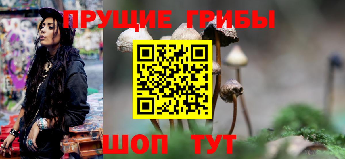 Уссурийск  Псилоцибиновые грибы Cubensis  Вход с VPN 